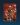 lee sin