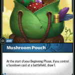 Mushroom Pouch