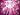 Soul Jam: Light of Passion